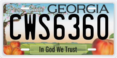 GA license plate CWS6360