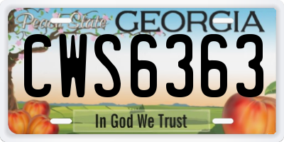 GA license plate CWS6363