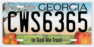 GA license plate CWS6365