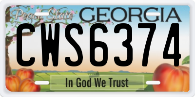 GA license plate CWS6374