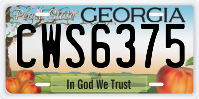 GA license plate CWS6375