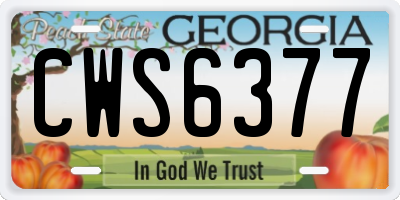 GA license plate CWS6377