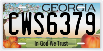 GA license plate CWS6379