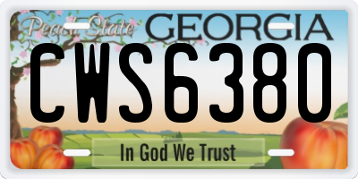 GA license plate CWS6380