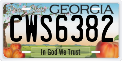 GA license plate CWS6382