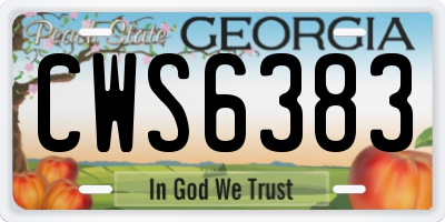 GA license plate CWS6383
