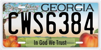 GA license plate CWS6384