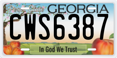 GA license plate CWS6387