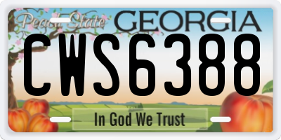 GA license plate CWS6388