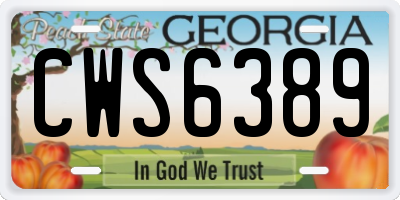GA license plate CWS6389