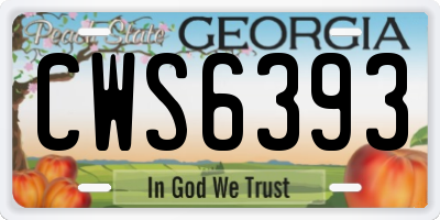 GA license plate CWS6393