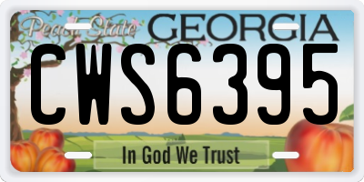 GA license plate CWS6395