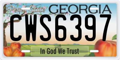 GA license plate CWS6397
