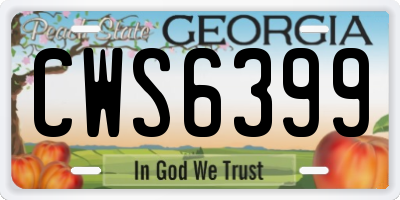 GA license plate CWS6399