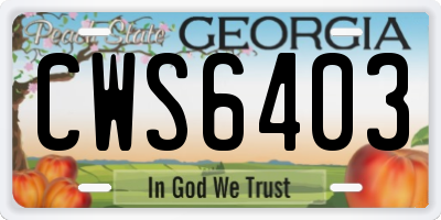 GA license plate CWS6403