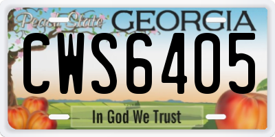 GA license plate CWS6405