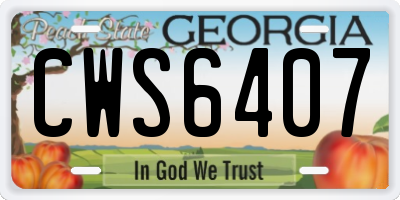 GA license plate CWS6407