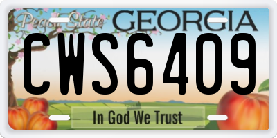 GA license plate CWS6409