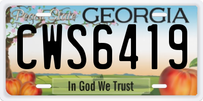 GA license plate CWS6419