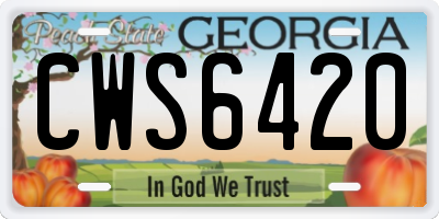 GA license plate CWS6420