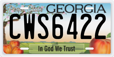 GA license plate CWS6422