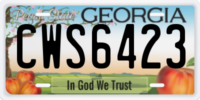 GA license plate CWS6423