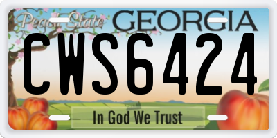 GA license plate CWS6424