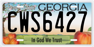 GA license plate CWS6427