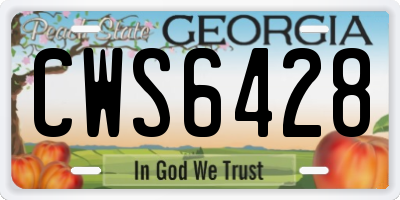 GA license plate CWS6428