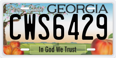 GA license plate CWS6429