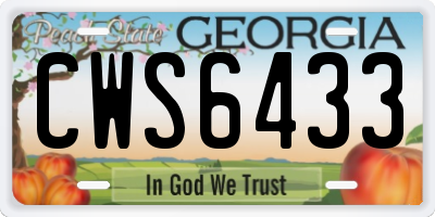 GA license plate CWS6433