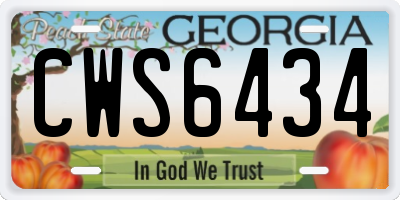 GA license plate CWS6434