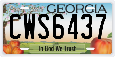 GA license plate CWS6437