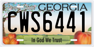 GA license plate CWS6441