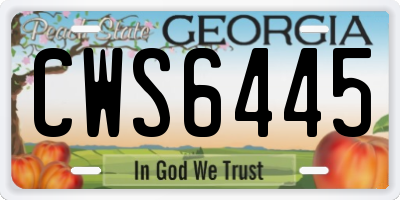 GA license plate CWS6445