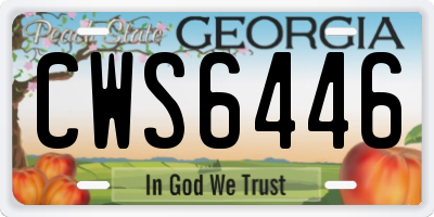 GA license plate CWS6446