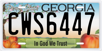 GA license plate CWS6447