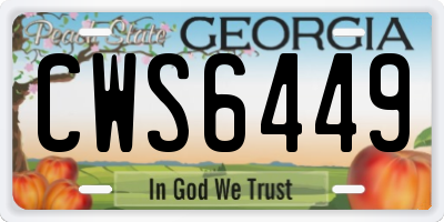 GA license plate CWS6449