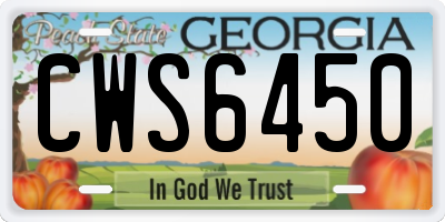 GA license plate CWS6450