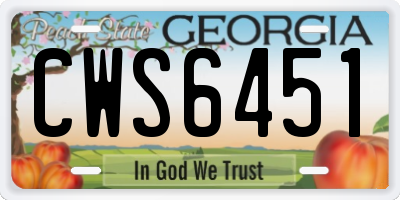 GA license plate CWS6451