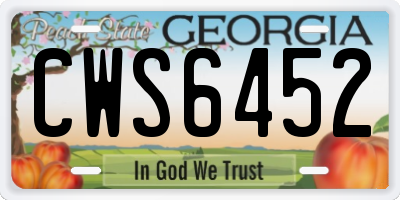 GA license plate CWS6452