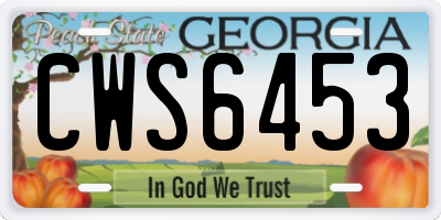 GA license plate CWS6453