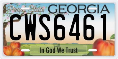 GA license plate CWS6461