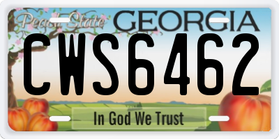 GA license plate CWS6462