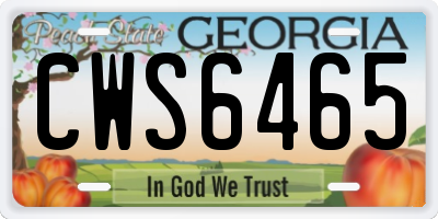 GA license plate CWS6465