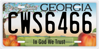 GA license plate CWS6466