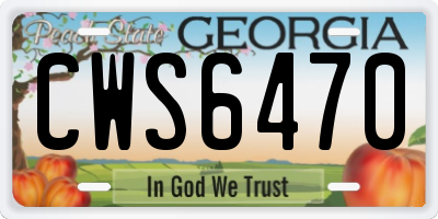 GA license plate CWS6470