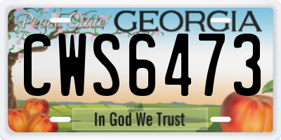 GA license plate CWS6473