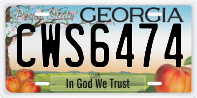 GA license plate CWS6474