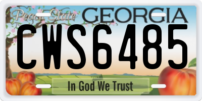 GA license plate CWS6485
